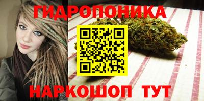 ГАЛЛЮЦИНОГЕННЫЕ ГРИБЫ Канаш