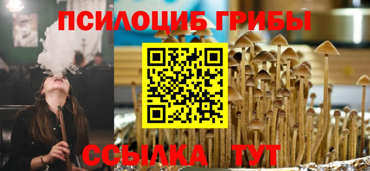 Псилоцибиновые грибы MAGIC MUSHROOMS  где купить наркоту  Вход с VPN  Ливны  Псилоцибиновые грибы прущие грибы 