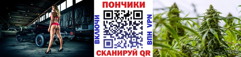 где можно купить наркотик  Ливны  МЕГА онион  Канабис White Widow 